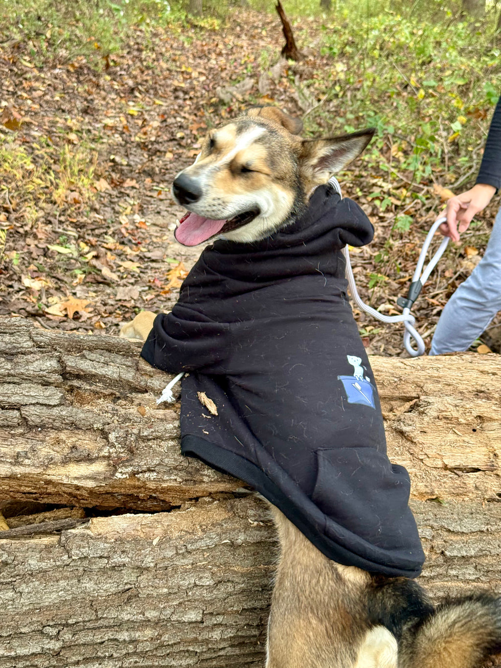 Black Chalk Bag Ferret Dog Hoodie